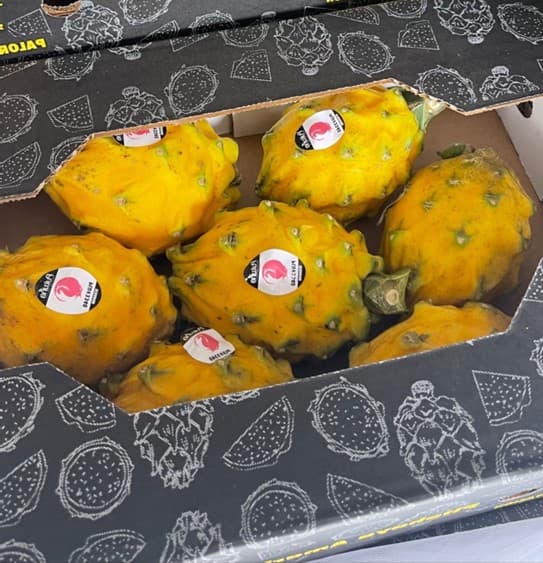 images/1708415484372máquina clasificadora de fruta del dragón.jpg